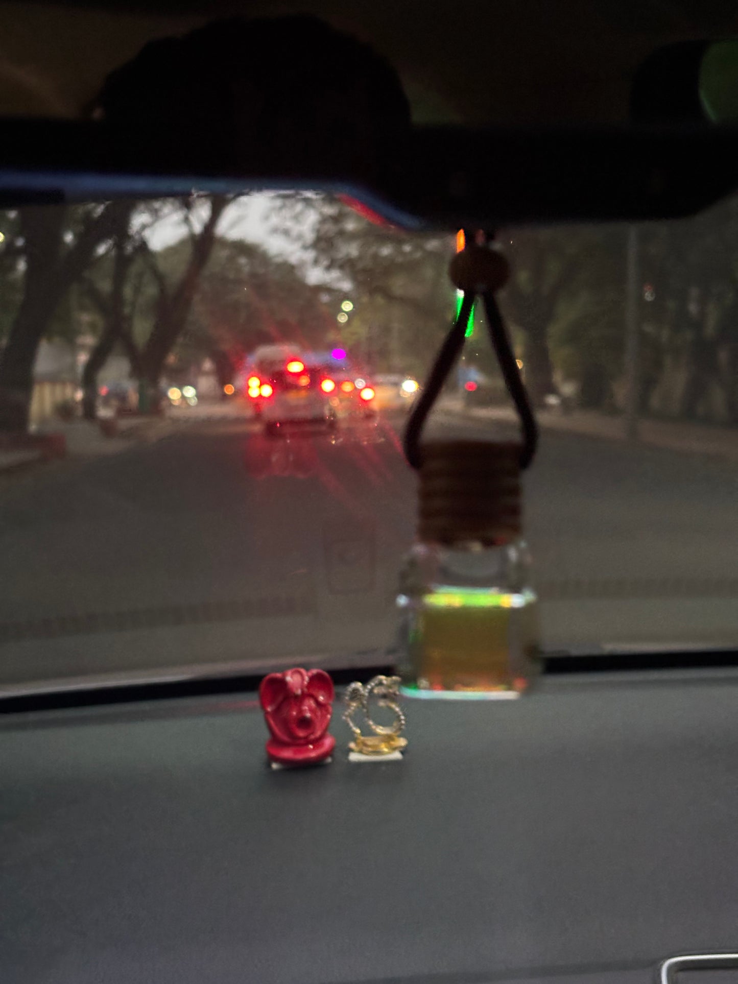 Car Attar Diffuser (6 ml)